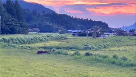 08-720