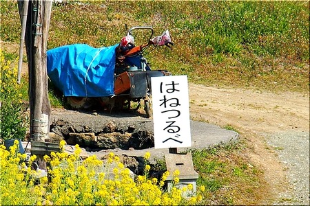 10-720