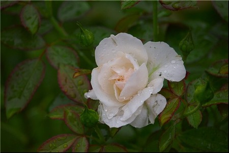 05-720