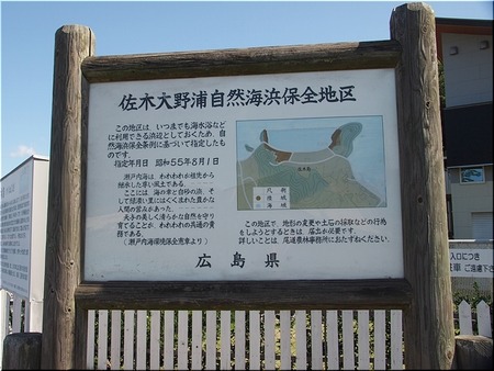 03-20