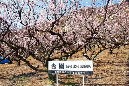 03-720