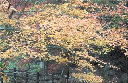 07-720