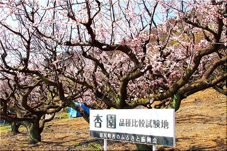 02-720
