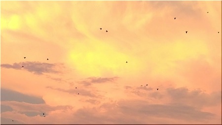06-720