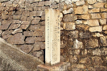 07-720