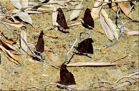 05-720