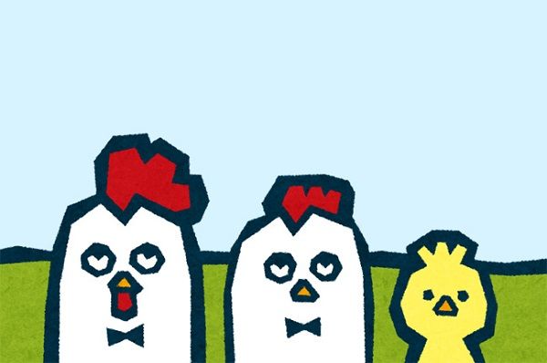 干支のとりは なに鳥 はて 酉てぇ なんぞやぁ ラビットのブログ