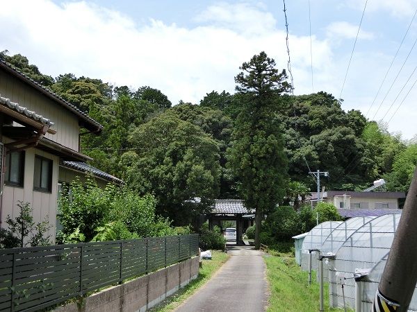 イメージ 8