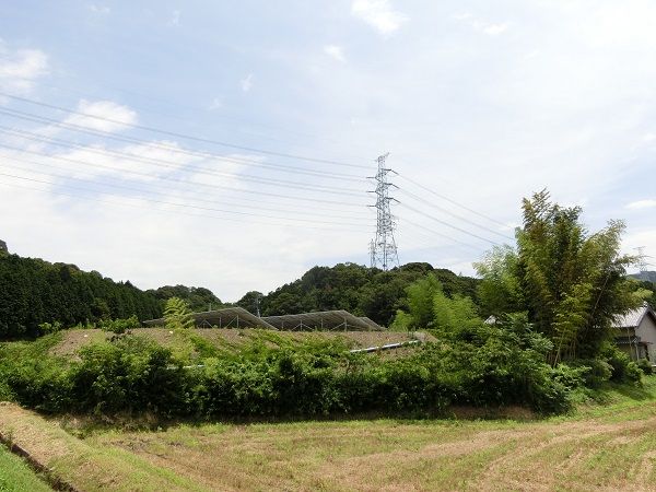 イメージ 4