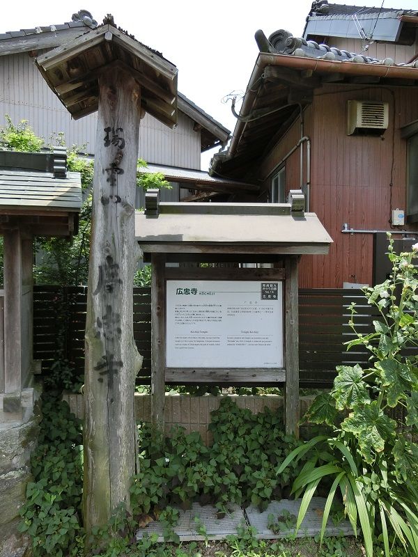 イメージ 7