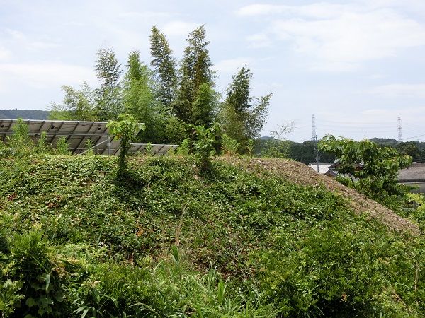 イメージ 3