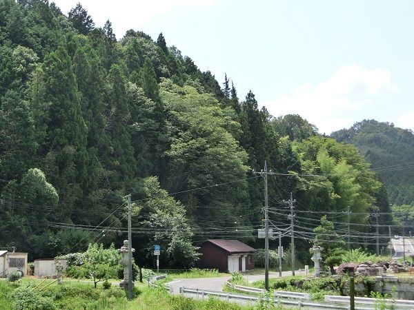 愛知県豊田市 三河 円山城跡 ラビットのブログ