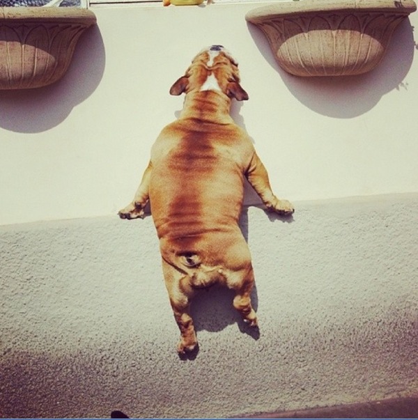 何が起こった？NO2