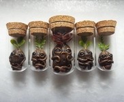 不思議な生物や植物。絵本に登場しそうなファンタジージュエリー