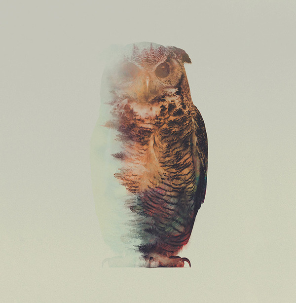 フクロウの二重露光写真byアンドレアス・リー