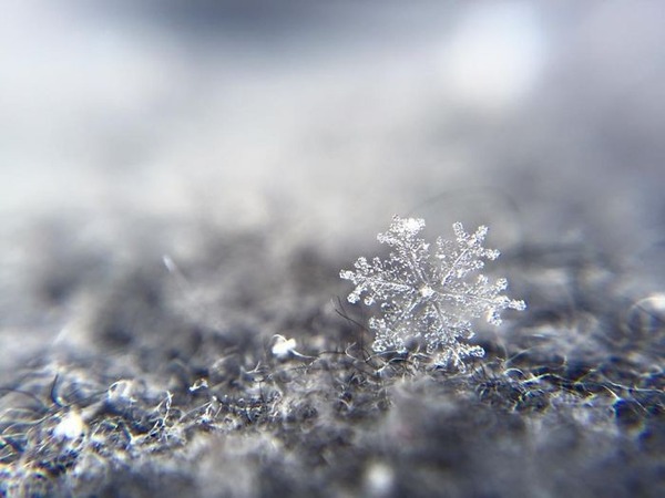 肉眼でも見れる 綺麗な雪の結晶のマクロ写真 肉眼でも見れる 綺麗な雪の結晶のマクロ写真