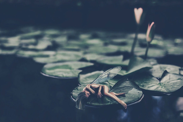 Fairy of the lilies