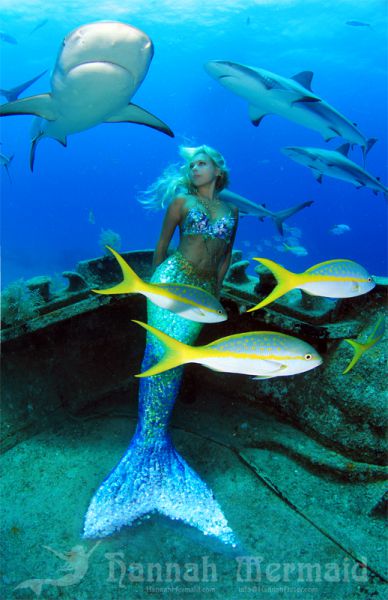 人魚のようなハンナ・フレイザー(Hannah Fraser) 4