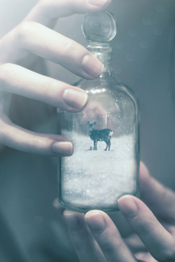 Winter in a jar