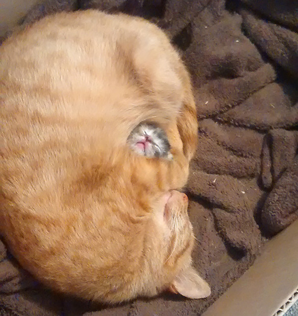 ママと赤ちゃん