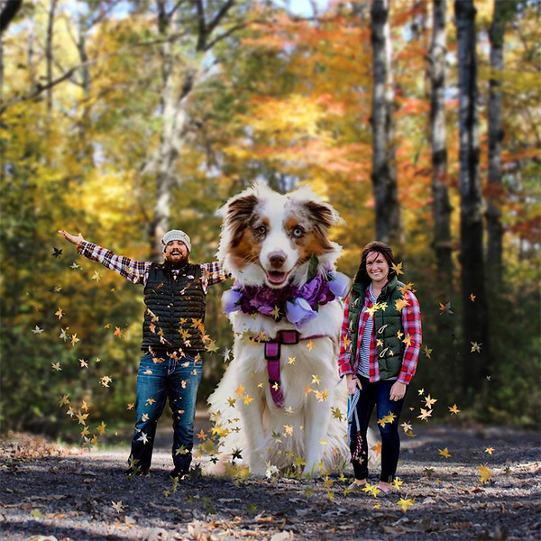 犬を大きくする！そんな夢をフォトショップの画像加工 (1)