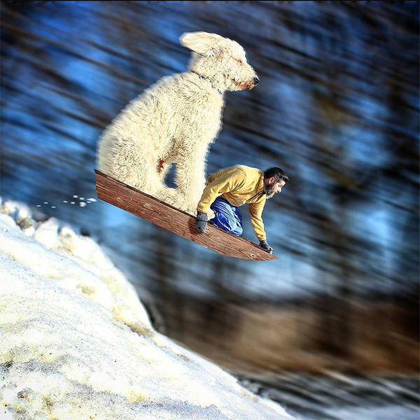 犬を大きくする！そんな夢をフォトショップの画像加工 (18)