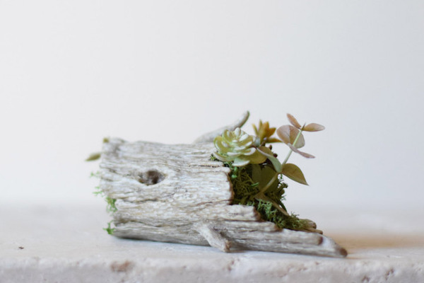 動物や植物な樹脂製アートプランター！『HARIMOGURA』 (8)