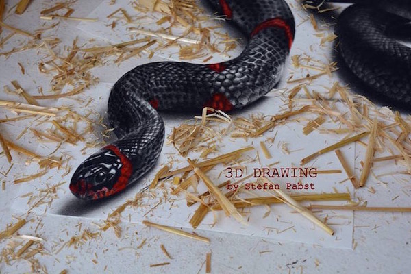 立体的すぎる!紙上に描かれた3Dドローイング【錯視】 (1)