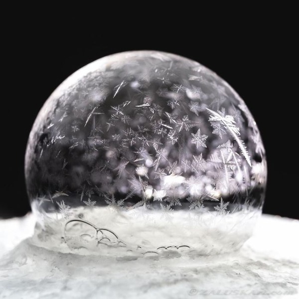 氷点下でシャボン玉が結晶化する動画と画像 (1)