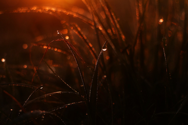 Beautiful orange light