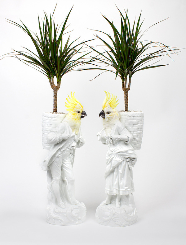 鳥頭人間,バードヘッドの磁器彫刻アート 2
