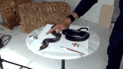 立体的すぎる!紙上に描かれた3Dドローイング【錯視】 (1)