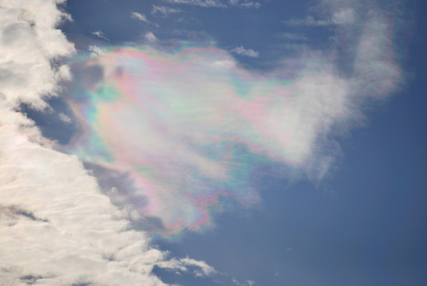 綺麗に空を彩る！珍しい虹色の雲の画像 (9)
