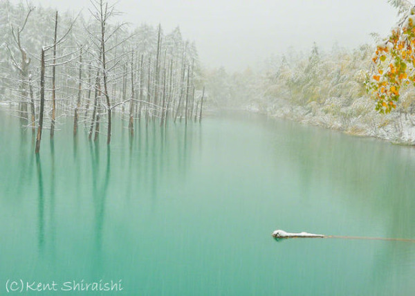 幻想的な冬景色