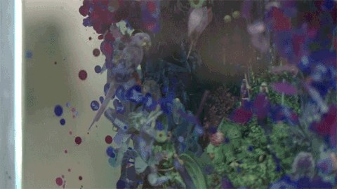 絵が描かれたガラスを重ねたアート