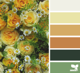 花や自然の美しい写真から色を取り出したカラーパレット