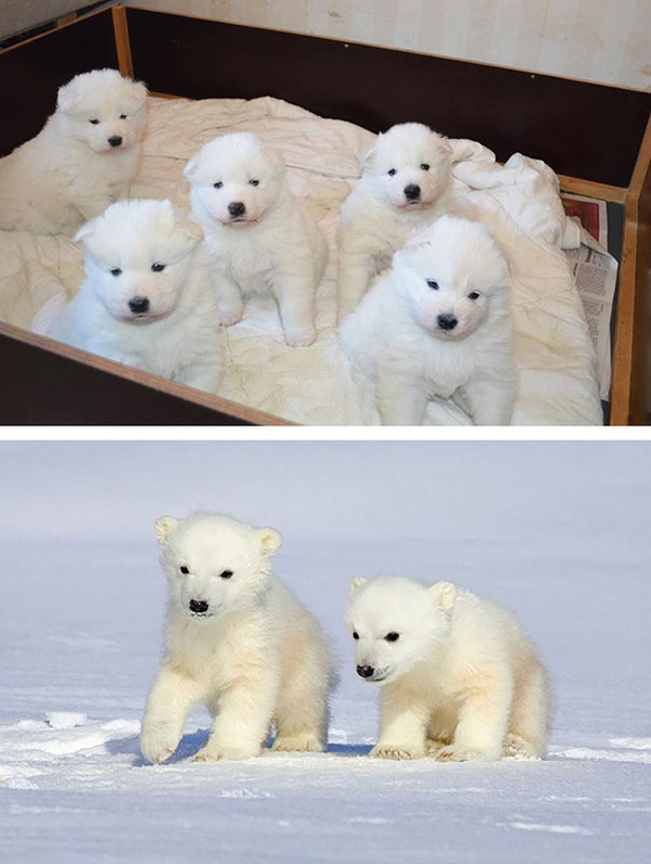 海外の完全に一致画像まとめ 29