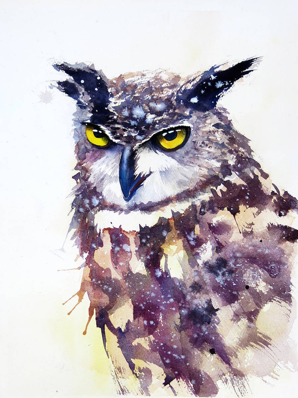 キラキラ綺麗 フクロウやワシなどの鳥類を描いたカラフルな水彩画