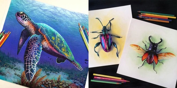 光沢と色彩の表現が美しい 色鉛筆と水彩絵具による絵画