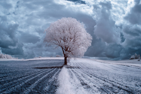 Ir 赤外線 カメラで撮影されたポーランドの自然風景の写真が幻想的で美しい Ir 赤外線 カメラで撮影されたポーランドの自然風景の写真が幻想的で美しい