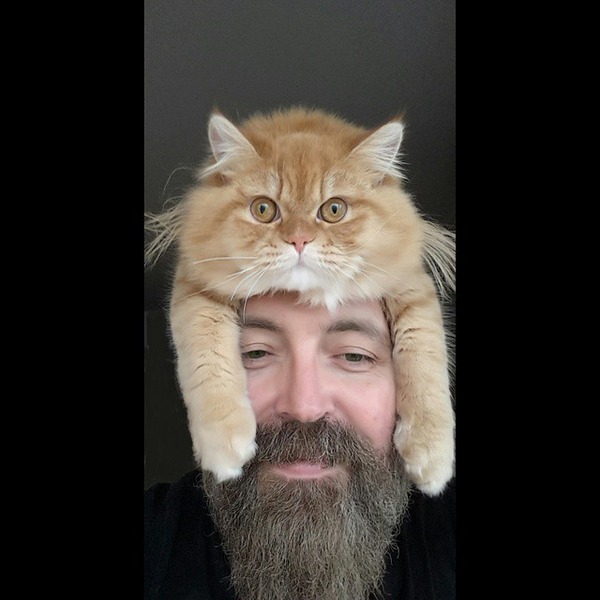 猫帽子 9