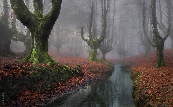 #6 Otzarreta Forest, Basque Country, Spain