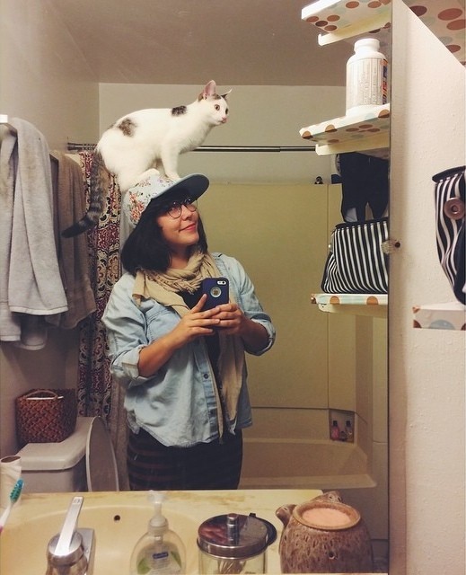 猫帽子 4