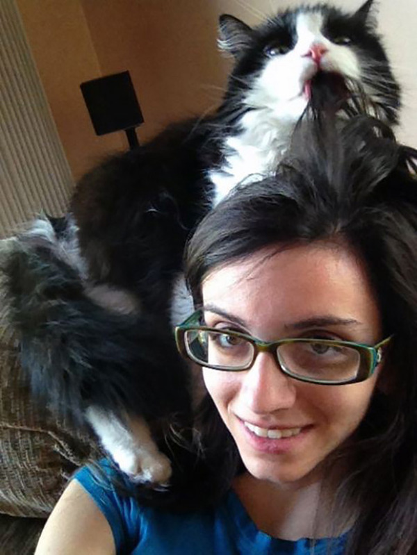 ボクに構いにゃさい。ツンデレ猫画像 (22)