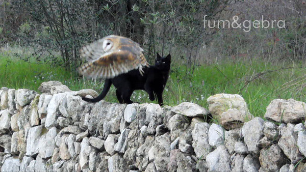 fum&gebra 3