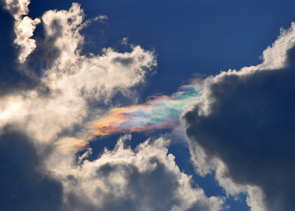 綺麗に空を彩る！珍しい虹色の雲の画像 (5)