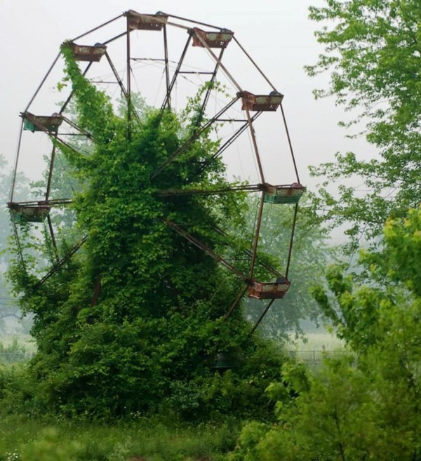 自然や植物に呑み込まれていく廃墟や人工物の画像 (16)