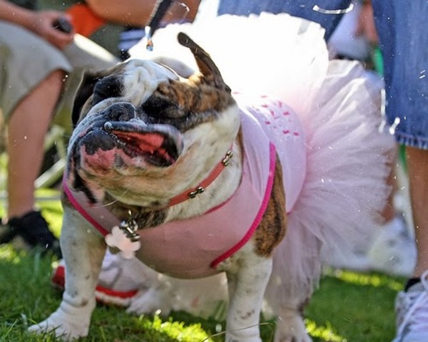 ちょっとやんちゃなお嬢さん