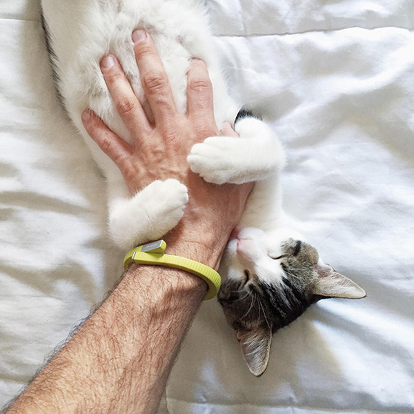 お腹を撫でられて気持ちいい動物画像 12