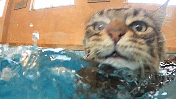 自閉症の６歳の少女が描く絵画が美しい！ Iris Grace  (1)